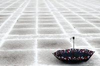&quot;Žiemos trupiniai, arba: sniego daugiau nebus&quot; Vida Jankaitienė
