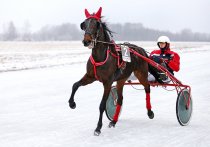 &quot;Raudonos ausytės&quot; Alina Akcijonaitienė