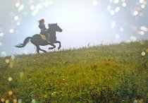 &quot;Svajos&quot; Alina Akcijonaitienė