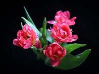 &quot;Šventinė&quot; Birutė Simanavičienė
