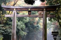 100 Japonijos kadrų