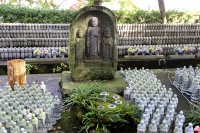100 Japonijos kadrų