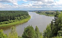 Nemuno vingis