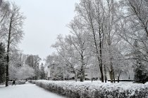 Ramu ir šalta