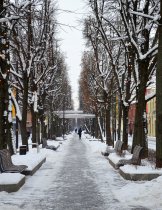 Laisvės alėja 