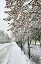 Kai šaltis išvagia žmones iš gatvės
