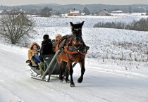 Ataskaitinis 2014