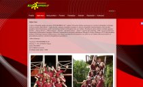 Ataskaitinis 2016