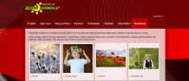 Ataskaitinis 2016