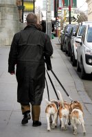 Briuselyje 2011