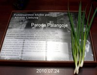 Palangoje 2010