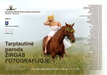Žirgas fotografijoje Dusetose 2015
