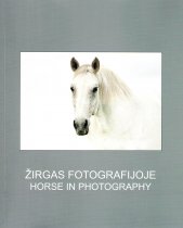 Žirgas fotografijoje Dusetose 2015