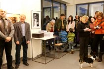 Žirgas fotografijoje Dusetose 2015