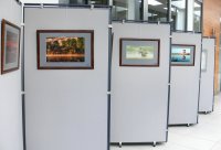 Vilniaus savivaldybėje 2010