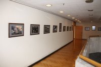 Vyriausybėje 2010