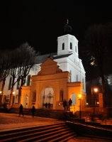 Telšių katedra-1