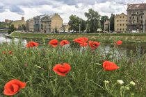 Krantinė