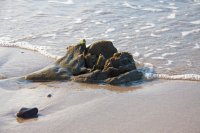 gintaras_08