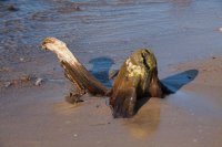 gintaras_11