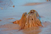 gintaras_12