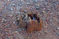 gintaras_21