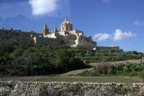 img_0047