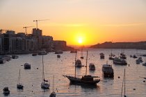 img_0073