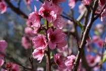 img_0080