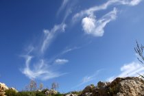 img_0081
