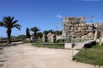 img_0083