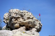img_0085