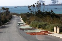 img_0116