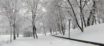 img_0043