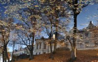 Rudens peizažas tvenkinyje