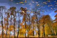 Rudens eskizas