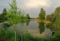 Vakarėja