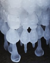 Frozen Drops