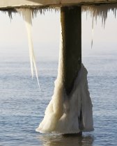 Frozen Shoe