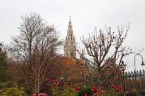 Wien 2018/11