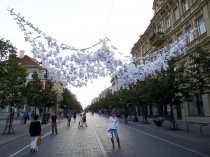 Vilnius Life