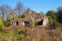 Daugirdiškių dvarvietės griuvėsiai